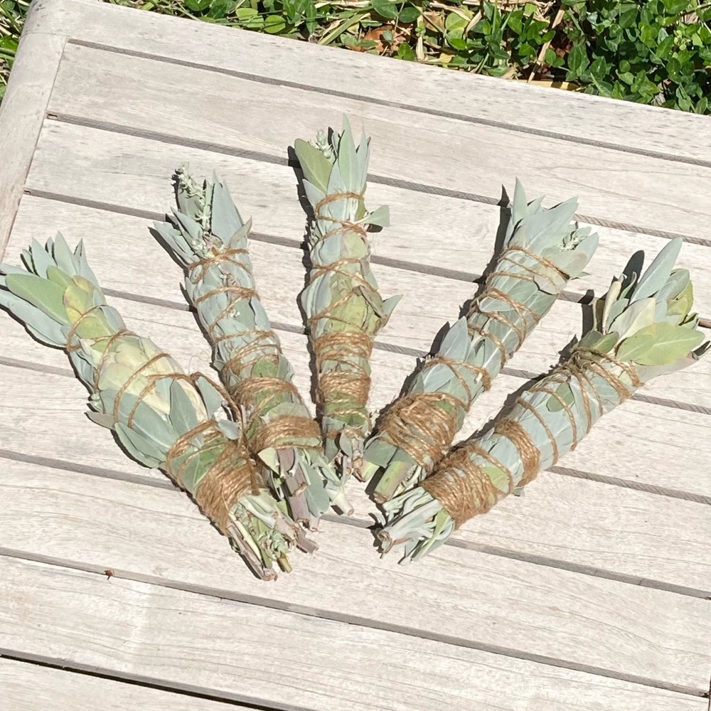 White Sage 1 stick 8”x 1” Organic New Hand Crafted